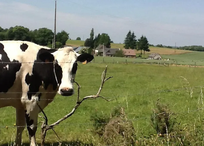 Maison Individuelle Avec Et Jardin, Pres De Domfront - Fr-1-497-101 Feriehus L'Epinay-le-Comte